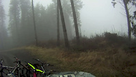 Must Watch Video