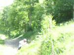 Must Watch Video