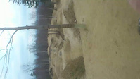 Must Watch Video