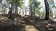 Must Watch Video