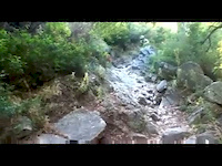 Must Watch Video