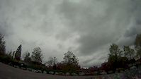 Must Watch Video