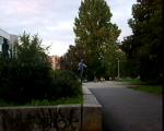 Must Watch Video