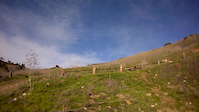 Must Watch Video