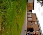 Must Watch Video