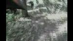 Must Watch Video