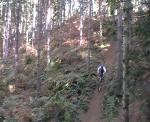 Must Watch Video