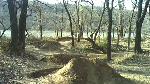 Must Watch Video