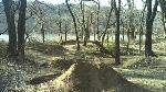 Must Watch Video