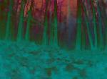 Must Watch Video