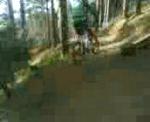 Must Watch Video