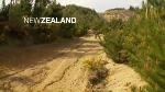 Must Watch Video