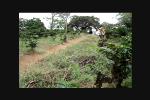 Must Watch Video