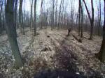 Must Watch Video