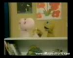 Must Watch Video