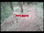 Must Watch Video