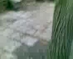 Must Watch Video