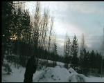 Must Watch Video
