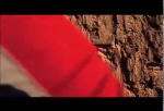 Must Watch Video