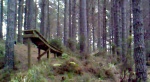 Must Watch Video