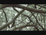 Must Watch Video