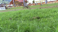 Must Watch Video