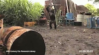 Must Watch Video