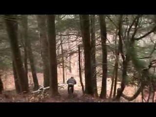 Must Watch Video