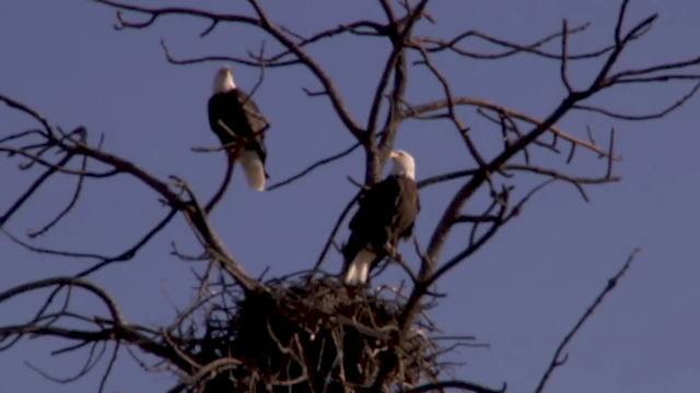 Must Watch Video