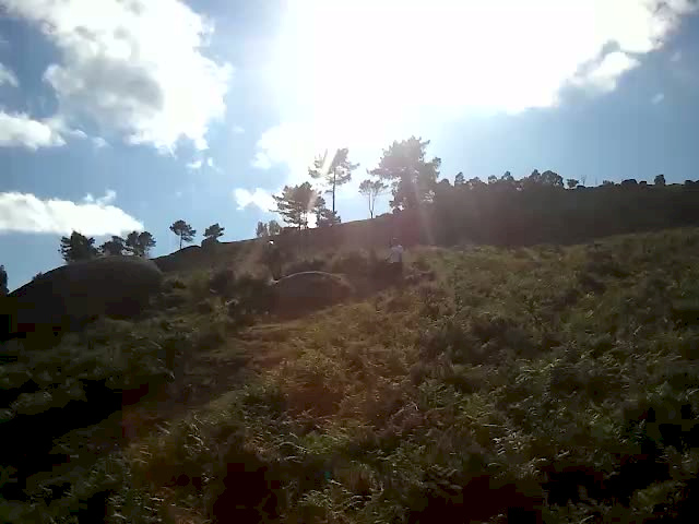 Must Watch Video