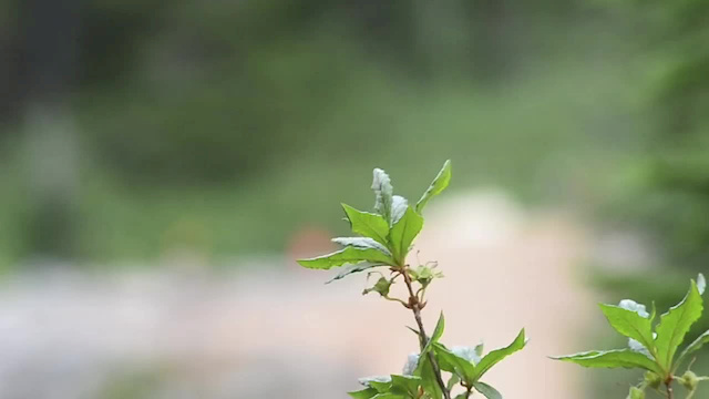 Must Watch Video