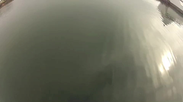 Must Watch Video