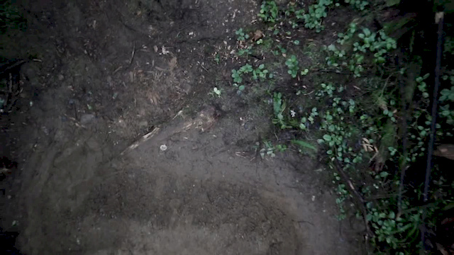 Must Watch Video