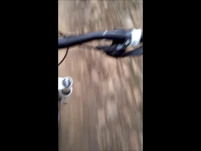Must Watch Video