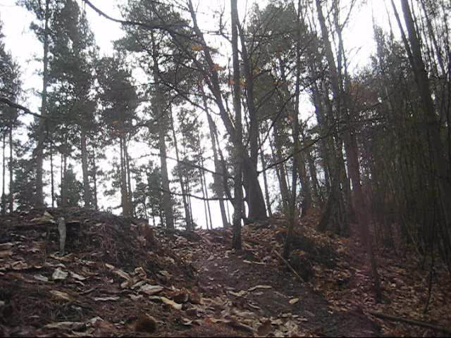 Must Watch Video