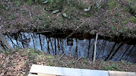Must Watch Video