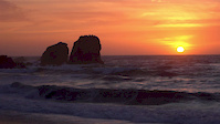 Must Watch Video
