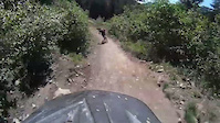 Must Watch Video