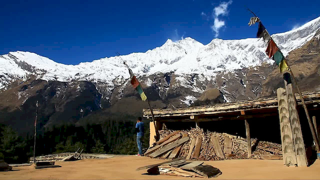 Must Watch Video
