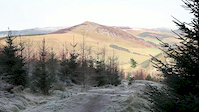 Must Watch Video